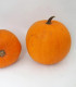 Tykev Jack O Lantern - Cucurbita pepo - semena - 7 ks