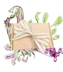 Balíček pro pěstitele masožravých rostlin - dárkové set semen