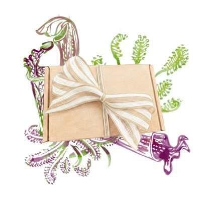 Balíček pro pěstitele masožravých rostlin - dárkové set semen