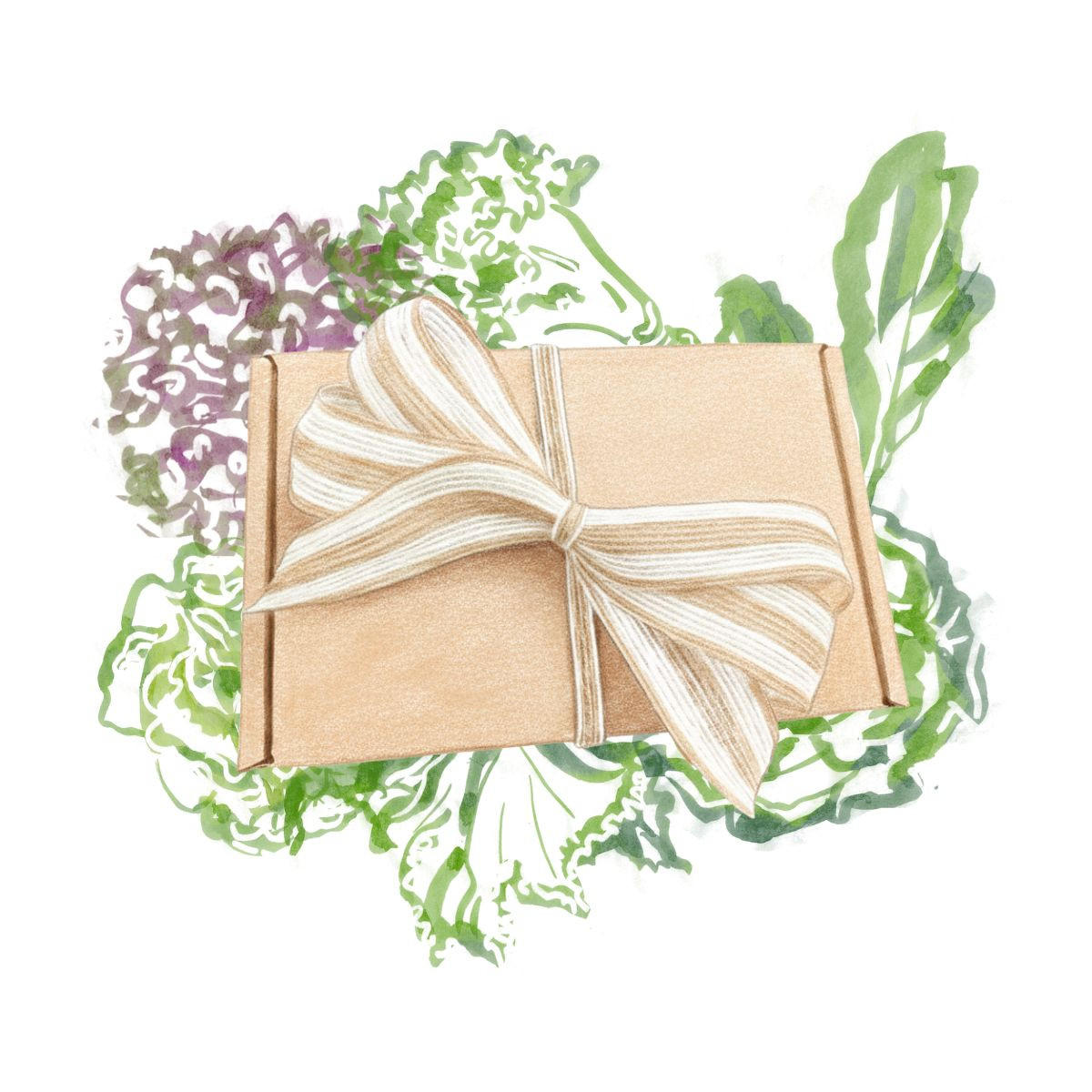 Balíček listové zeleniny - dárkový set semen