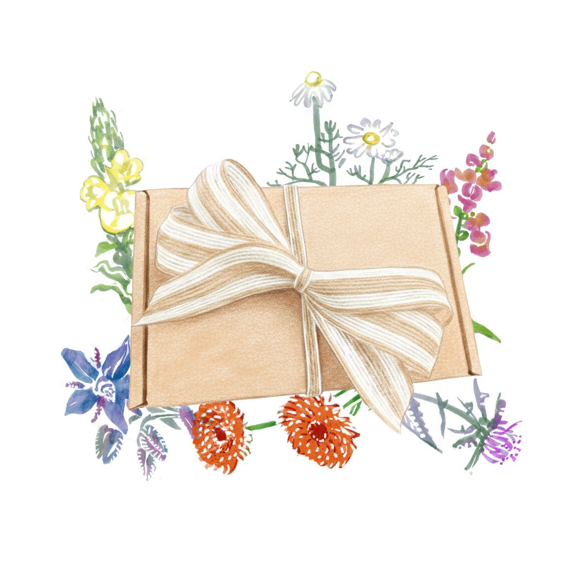 Balíček jedlých květů - dárkový set semen