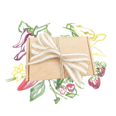 Balíček pro pěstitele chilli - dárkový set semen