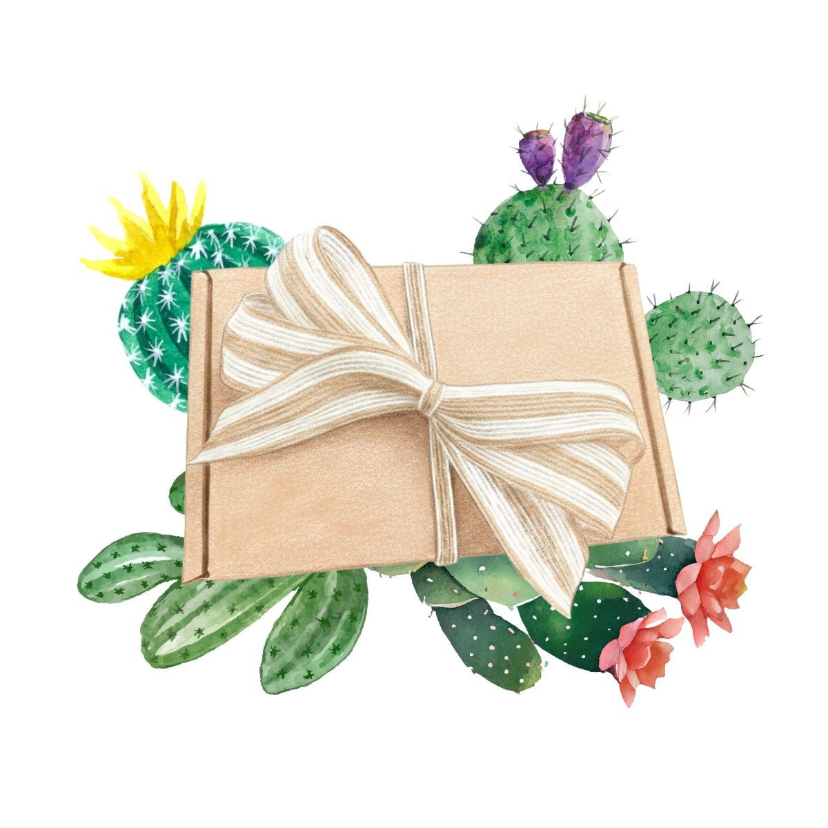 Balíček pro pěstitele kaktusů - dárkový set semen