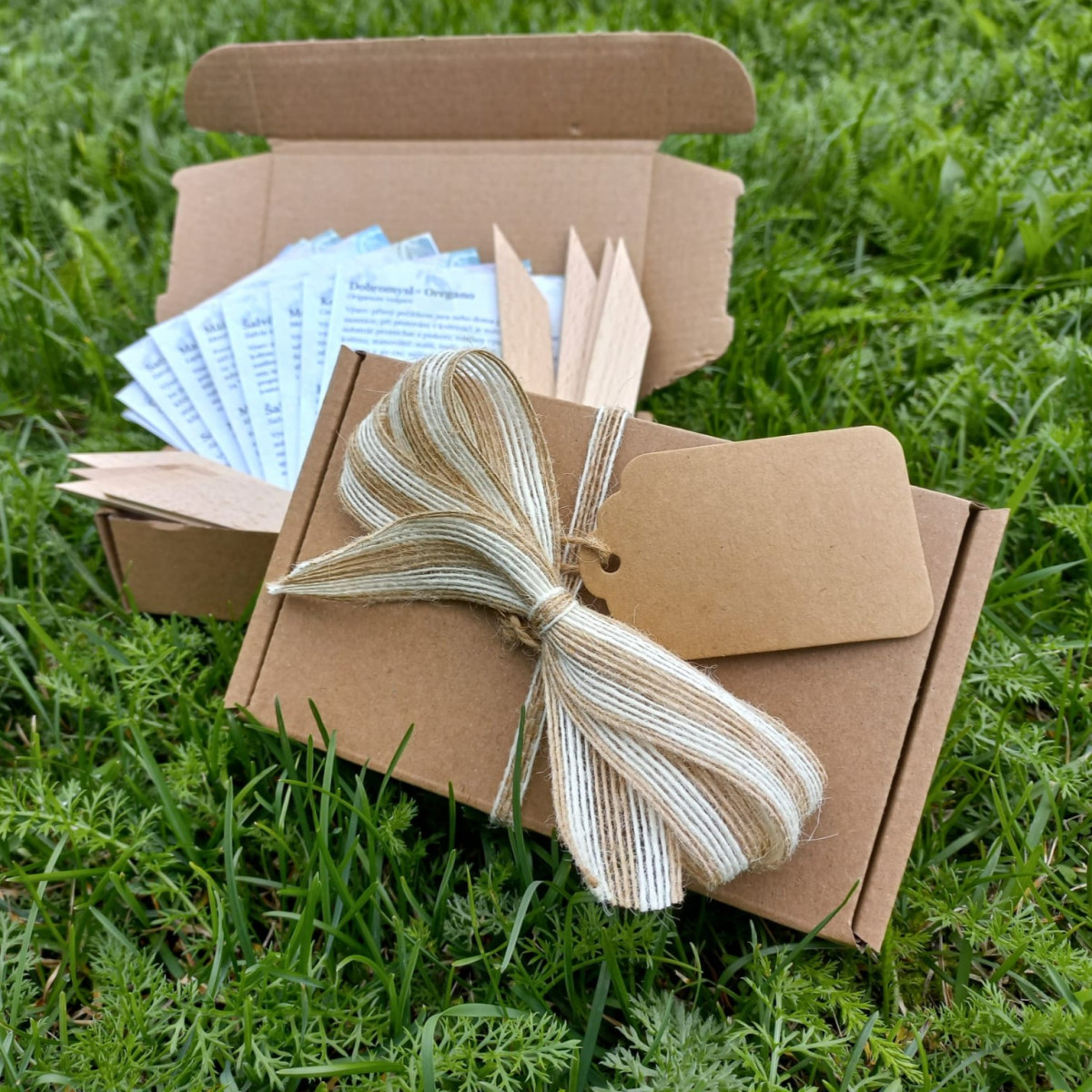 Balíček pro pěstitele kaktusů - dárkový set semen