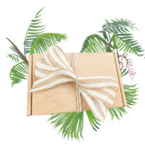 Balíček pro pěstitele palem - dárkový set semen