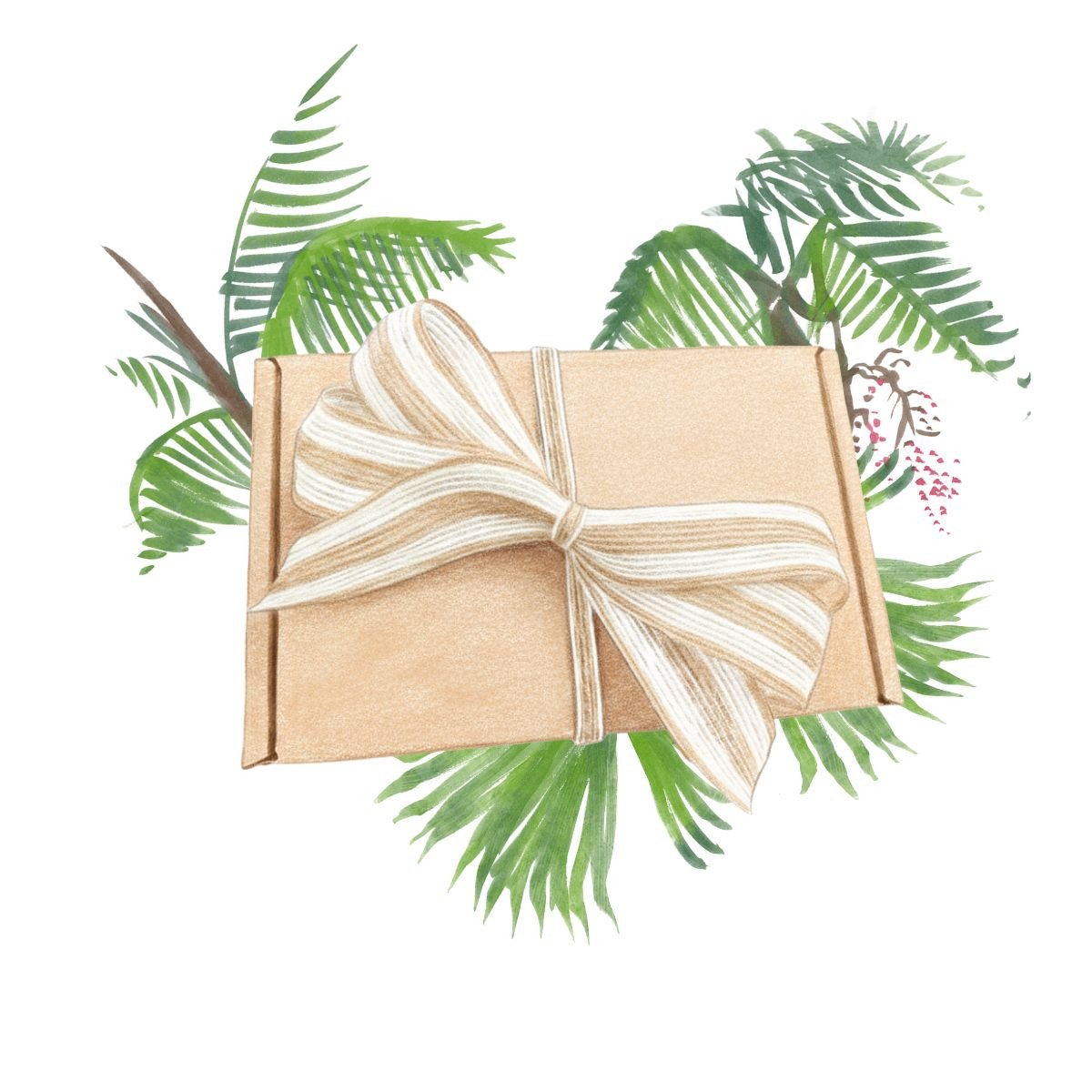 Balíček pro pěstitele palem - dárkový set semen