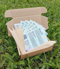 Balíček semen květů do truhlíku - dárkový set semen