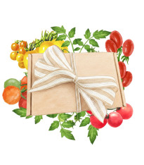 Balíček pro pěstitele rajčat - dárkový set semen