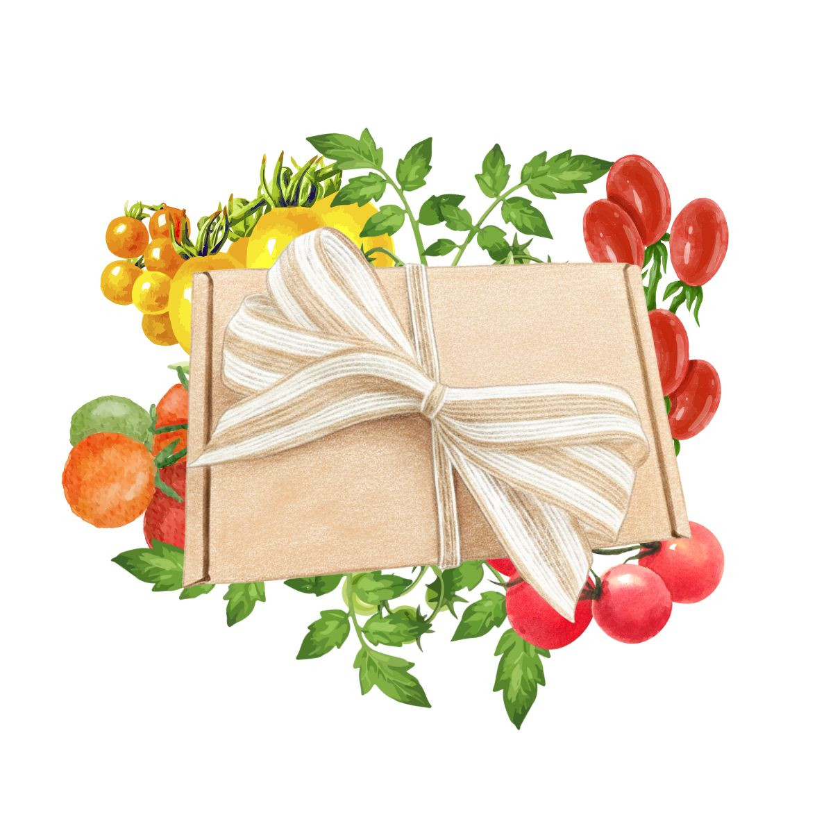 Balíček pro pěstitele rajčat - dárkový set semen