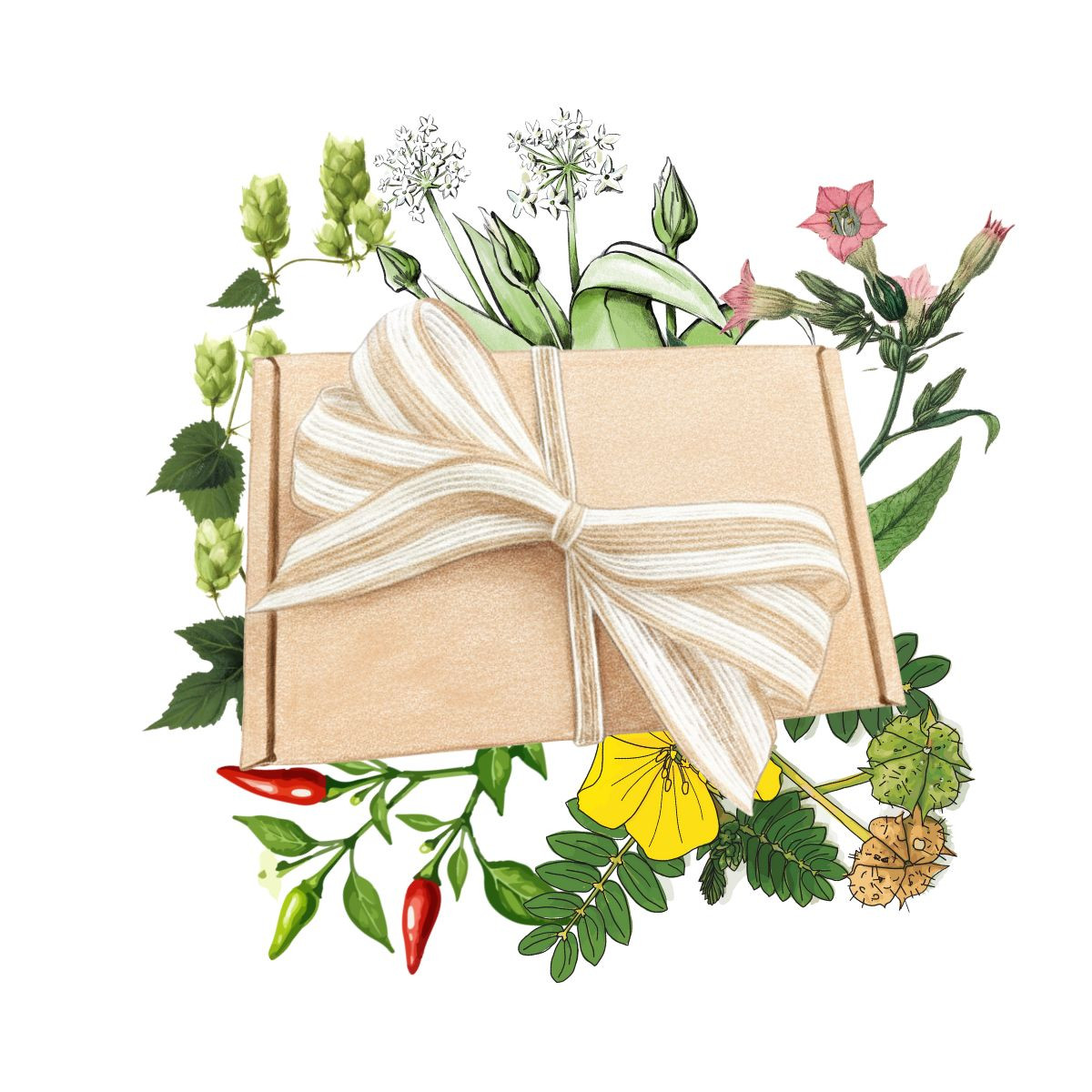 Balíček pro pravé muže - dárkový set semen