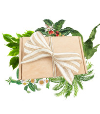 Balíček pro pěstitele pokojových rostlin - dárkový set semen