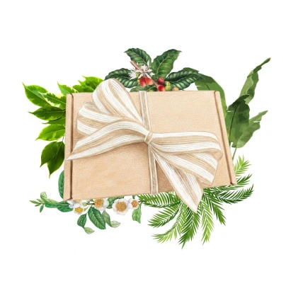 Balíček pro pěstitele pokojových rostlin - dárkový set semen