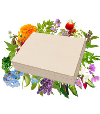 Hity mezi semínky v dřevěné krabičce – dárkový set