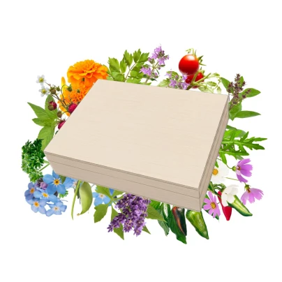 Hity mezi semínky v dřevěné krabičce – dárkový set