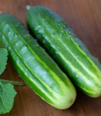 Okurka salátová Marketmore - Cucumis sativus - semena - 10 ks