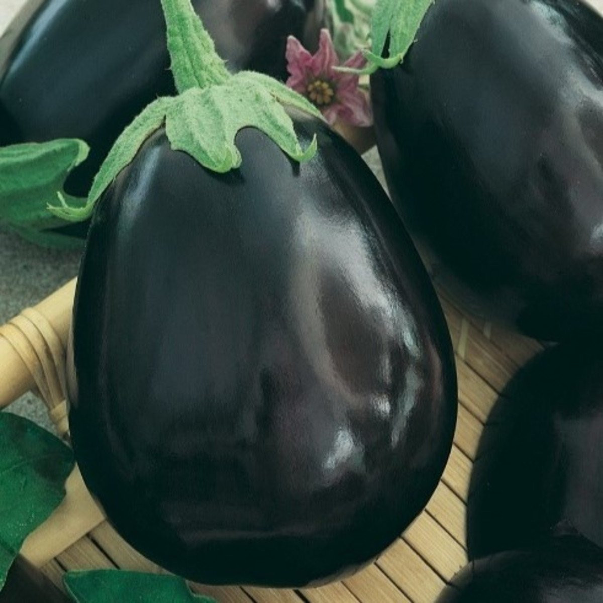 Lilek Krasan - Solanum melongena - semena - 100 ks