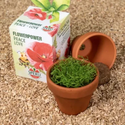 Mini sada na pěstování vlčího máku - včetně květináče, substrátu a semen - Sperli - 1 ks