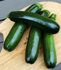 Cuketa Tarmino F1 - cuketa do květináče - Cucurbita pepo - semena - 6 ks