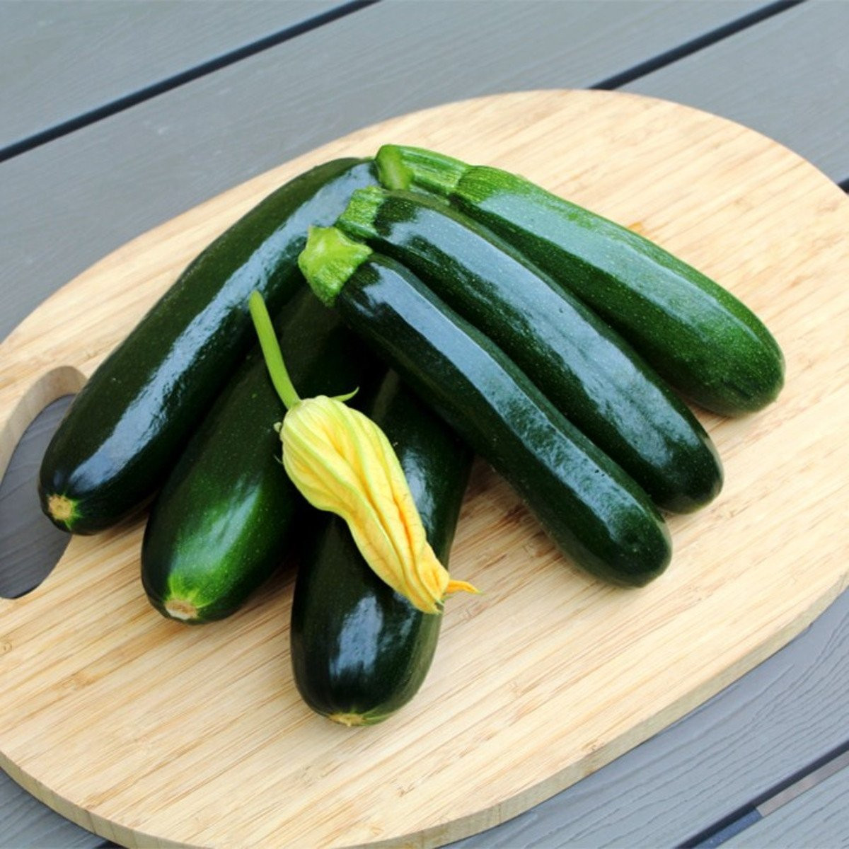 Cuketa Sandokan F1 - Cucurbita pepo - semena - 8 ks