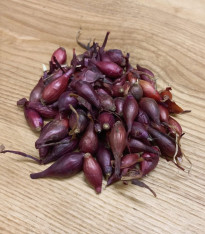 Cibule sazečka Piroska - Allium cepa - cibulky - 250 g