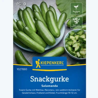 Okurka salátová Salamanda F1 - Cucumis sativus