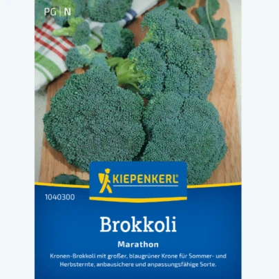 Brokolice Marathon F1 - Brassica oleracea - semena - 30 ks