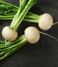 Ředkev Acord - Raphanus sativus - semena - 150 ks