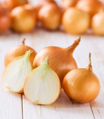 Sazečka Winteria - Allium cepa - cibulky - 250 g