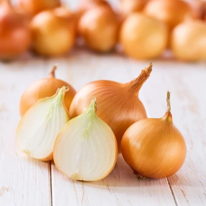 Sazečka Winteria - Allium cepa - cibulky - 250 g