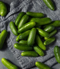 Okurka salátová Little Snack F1 - Cucumis sativus - semena - 8 ks