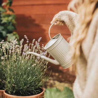 Kovová konvička Hugo - béžová - Strömshaga AB - 1 ks