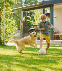 BIO Travní osivo - univerzální - travní směs - Sativa - 500 g