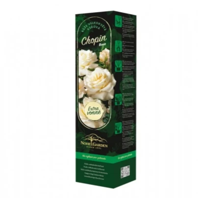 Růže velkokvětá keřová - Fragrant Chopin - Rosa - prostokořenné sazenice růže - 1 ks