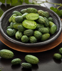 Mexická mini okurka - Melothria scabra - semena - 5 ks