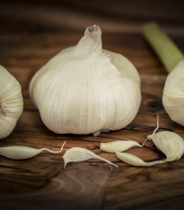Sadbový česnek Garpek - Allium sativum - paličák - cibule česneku - 1 balení
