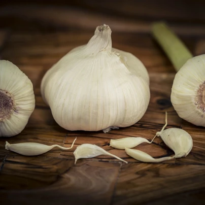 Sadbový česnek Garpek - Allium sativum - paličák - cibule česneku - 1 balení