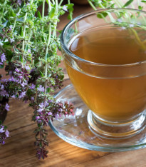 Mateřídouška - Thymus serpyllum - semena - 500 ks