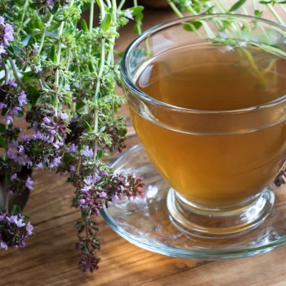 Mateřídouška - Thymus serpyllum - semena - 500 ks