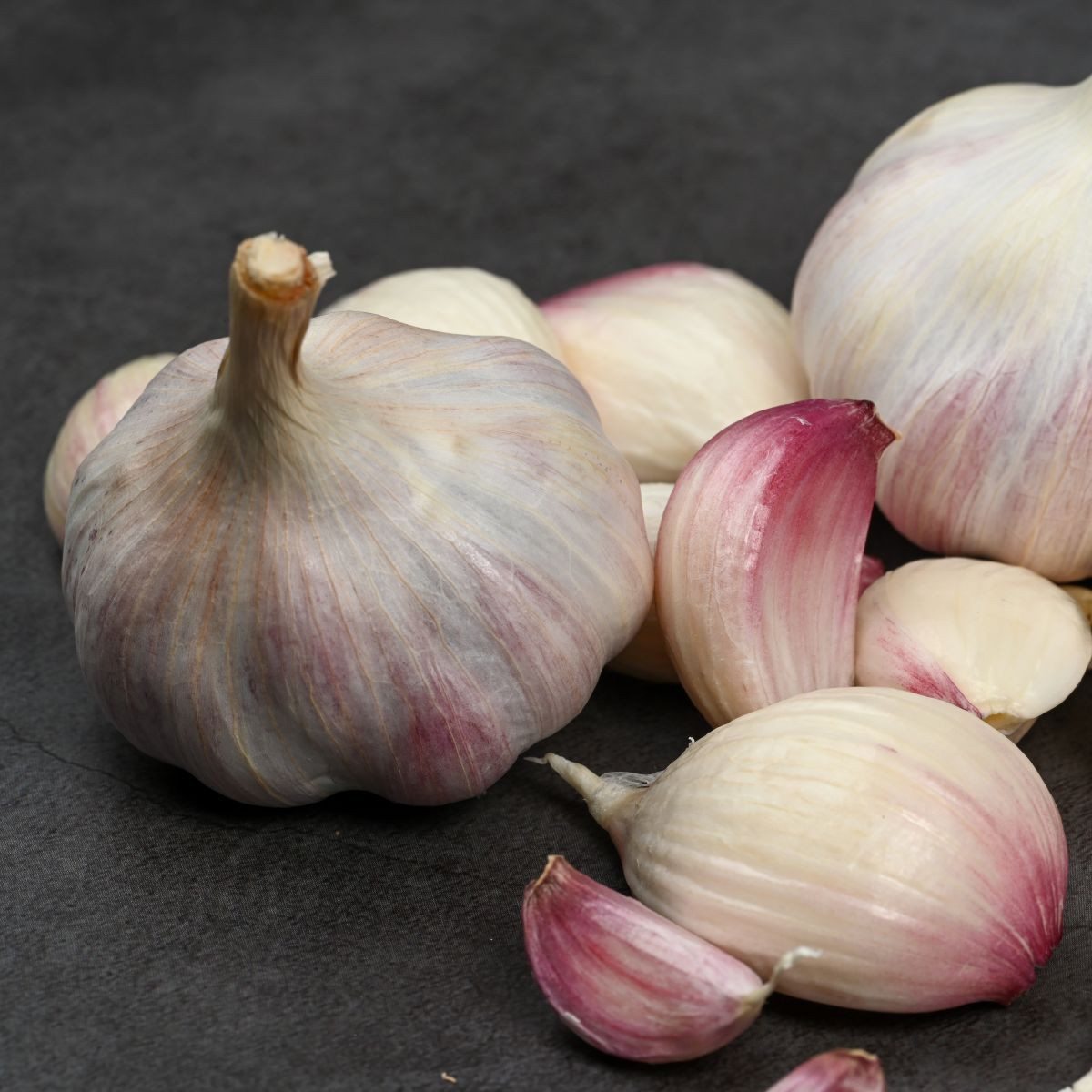 Sadbový česnek Slavin II - Allium sativum - paličák - 1 balení