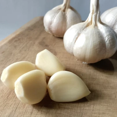 Sadbový česnek Dukát - Allium sativum - paličák - cibule česneku - 1 balení