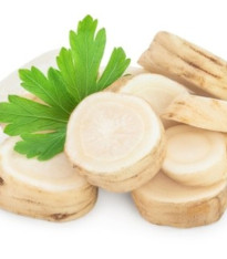 Petržel kořenová zahradní Efez - Petroselinum crispum - semena - 700 ks