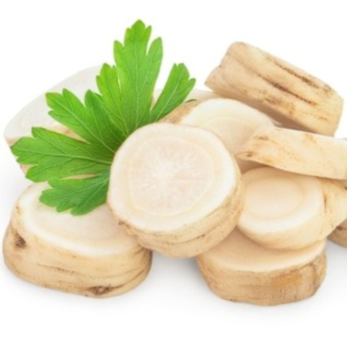 Semena petržele – Petržel kořenová zahradní Efez – Petroselinum crispum