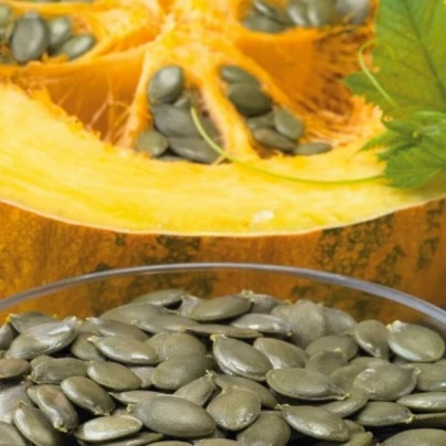 Tykev olejná Trumf F1 - Cucurbita pepo - semena - 12 ks