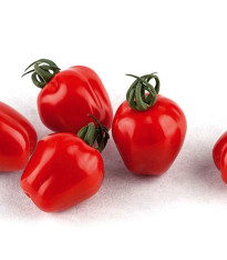 Rajče tyčkové Appleberry F1 PhR červená - Solanum lycopersicum - semena - 7 ks