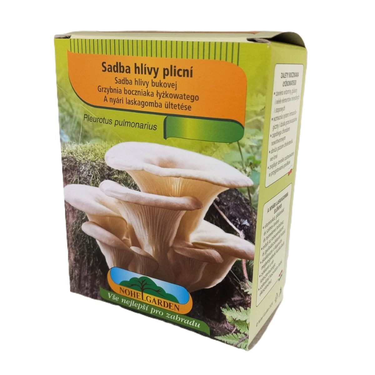 Hlíva plicní - Pleurotus pulmonarius - sadba - 250 ml