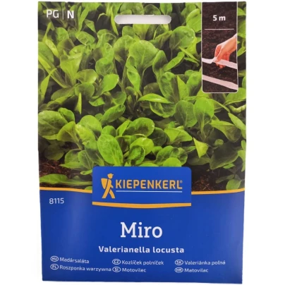 Salát Miro  - výsevný pásek - 1 ks