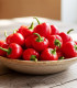 BIO Paprika Red Marble - Capsicum annuum - bio semena - 6 ks