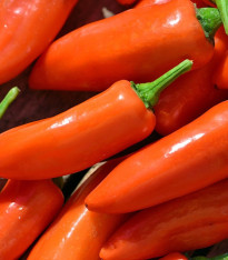 Paprika Tangerine Dream - Capsicum annuum - semena - 7 ks