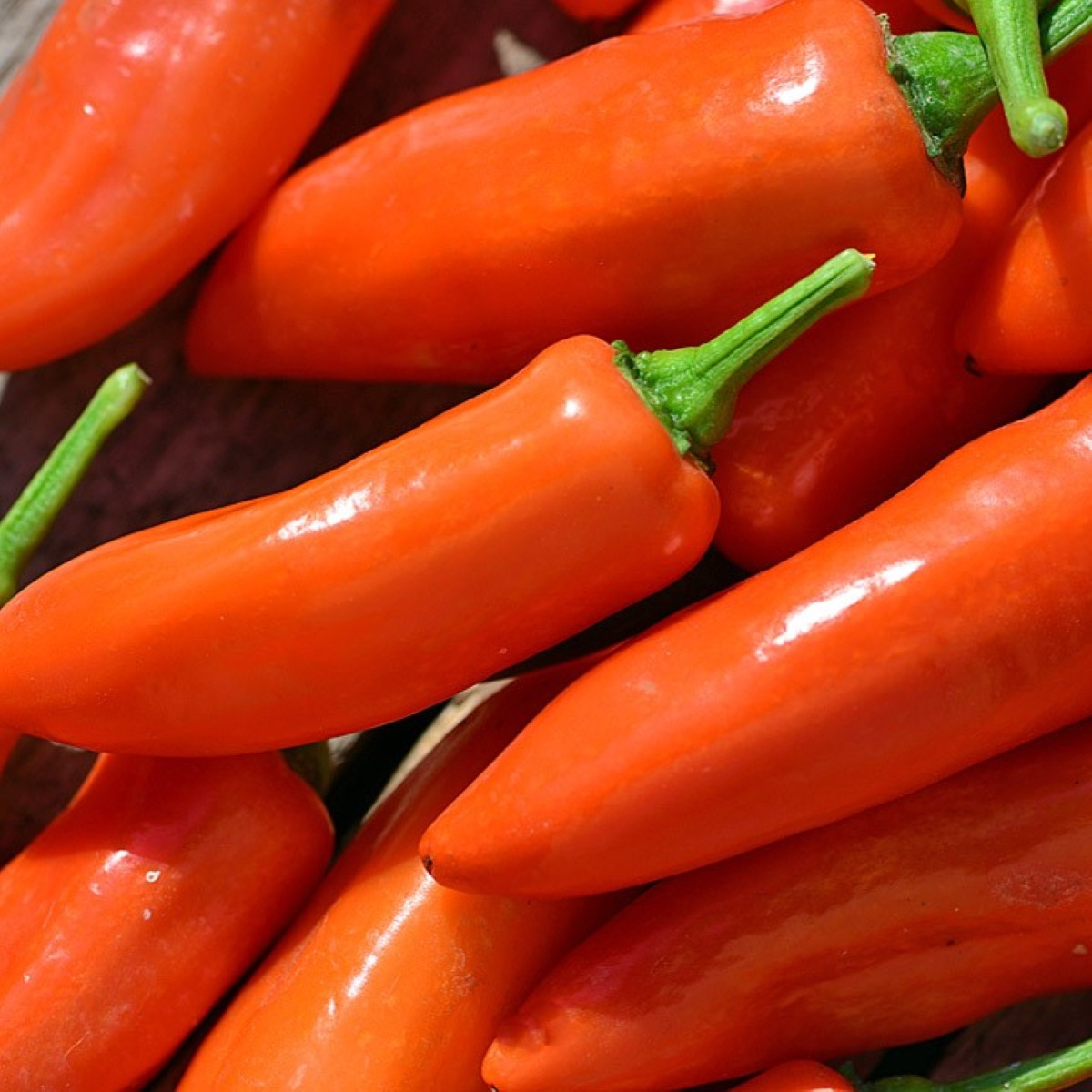 Paprika Tangerine Dream - Capsicum annuum - semena - 7 ks