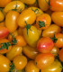 BIO Rajče tyčkové Artisan Blush Tiger - Solanum lycopersicum - bio semena - 6 ks